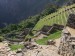 Machu Picchu 31