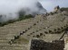 Machu Picchu 37