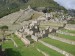 Machu Picchu 53